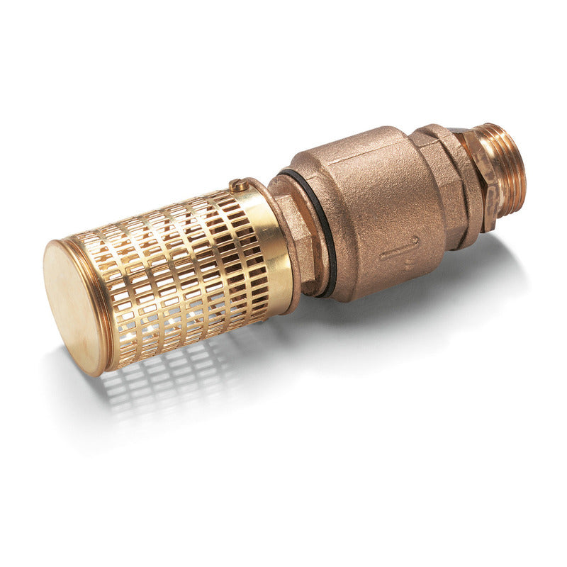 Suction filter with check valve